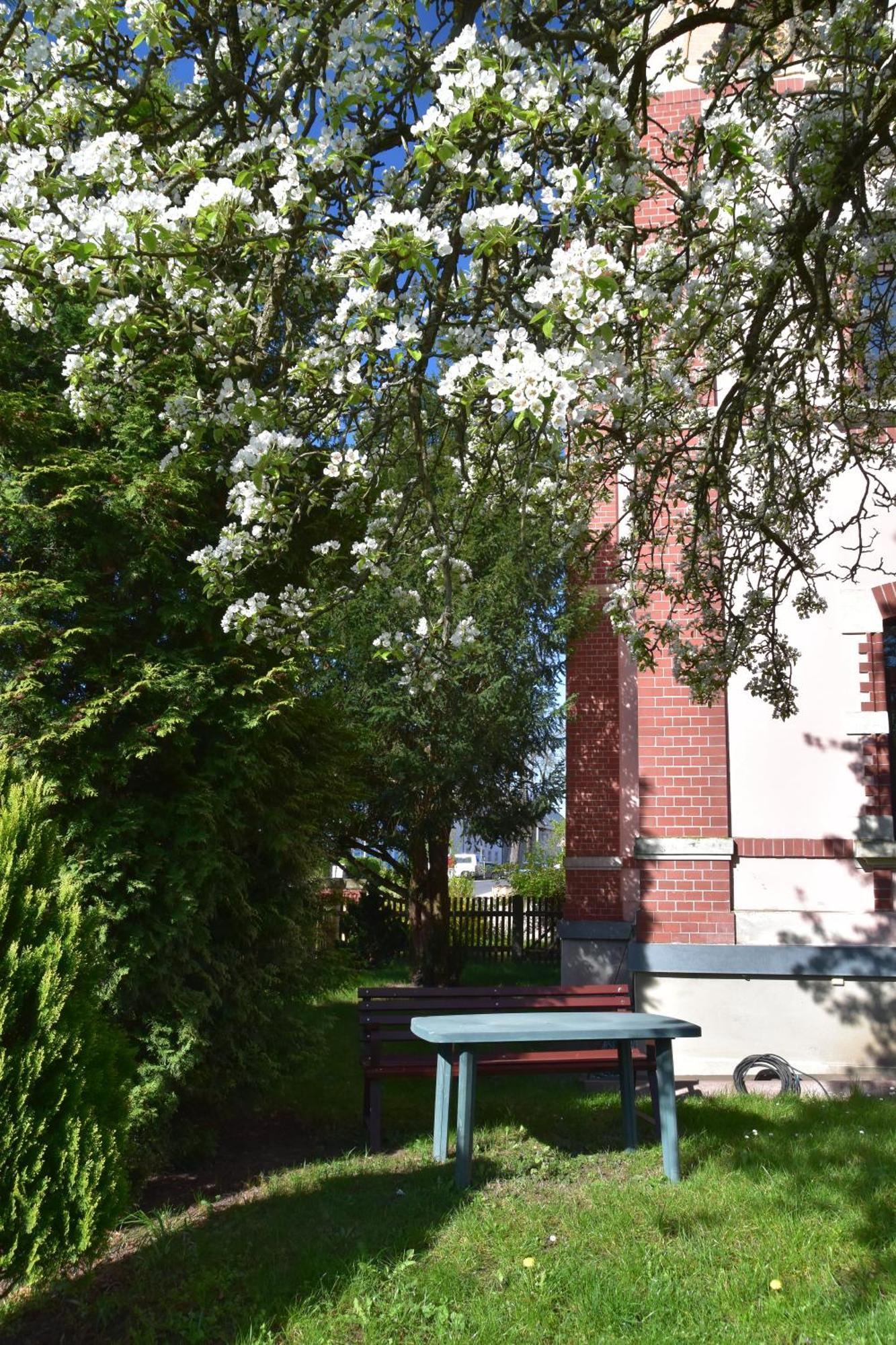 Ferienwohnung Und Pension "Zur Aue" Konigsbruck Extérieur photo